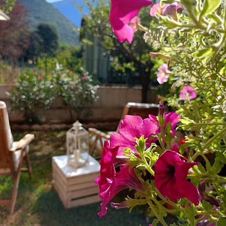 La Civetta Appartamento Con Giardino E Parcheggio Nave  Luaran gambar