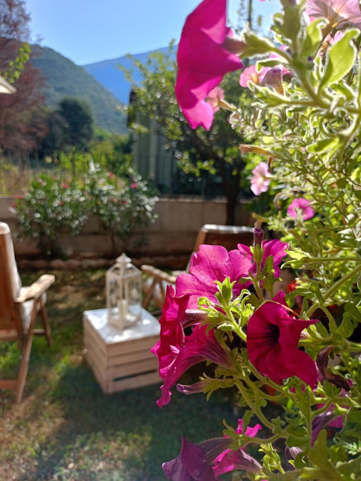 La Civetta Appartamento Con Giardino E Parcheggio Nave  Luaran gambar